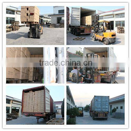 6.5ml black square brand lipgloss