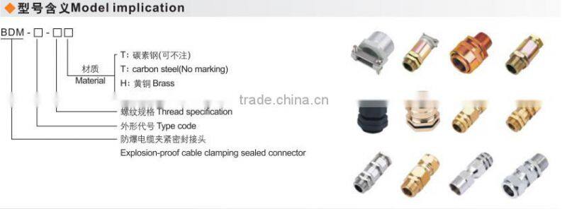 BDM Brass Explosion-proof cable connector