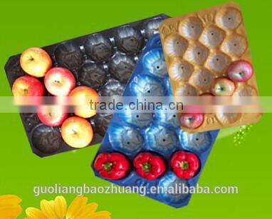 FDA/SGS Food Grade Thermoformed Disposable Food Packaging Trays