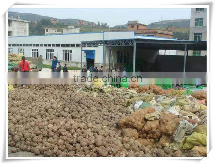 Arlendar Low calories konjac noodles