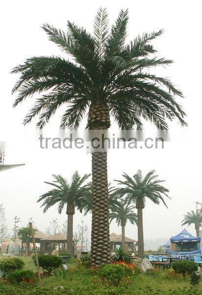 Tropic Palm Tree as decoration indoor or outdoor