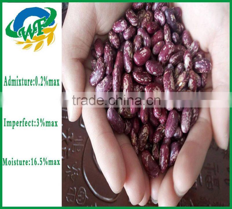 2015 Purple Speckled Kidney Beans