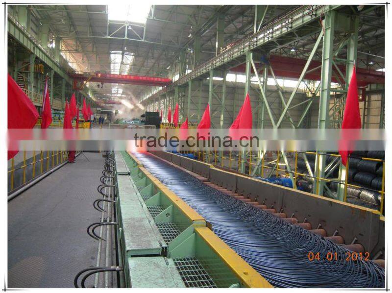 SAE1006 1008 1012 1015 A150M wire rod steel coil