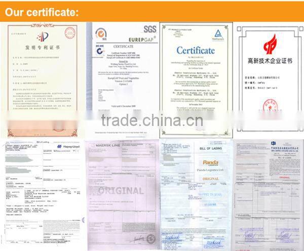 Chemical material pallet transportation film wrapping machine