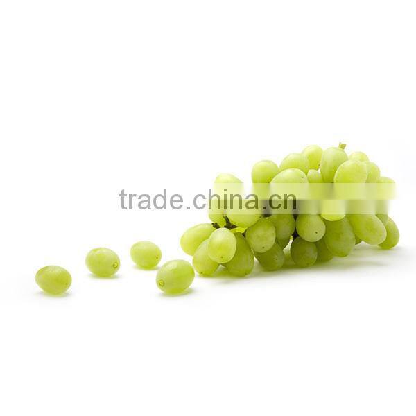 1.5m High quality fake purples vine for home decoration/party decor