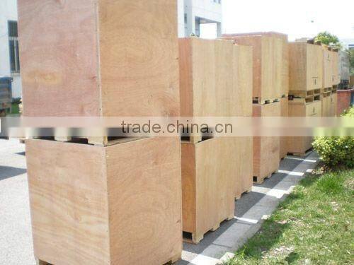 Good quality automatic Macadamia nut tapping machine for sale