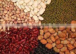 HONGSHI MEW INTELLIGENT CCD RED BEANS Color Sorter,