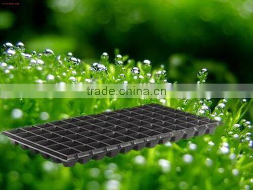 New arrival latest virgin rice seed tray