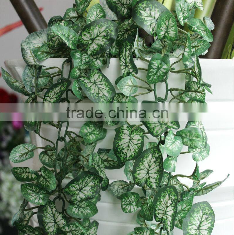 Wall hanging vines