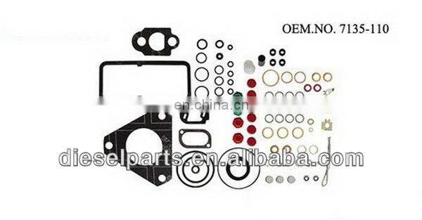 Fuel Injector PUmp repair kit 800 377/800377/7135-110