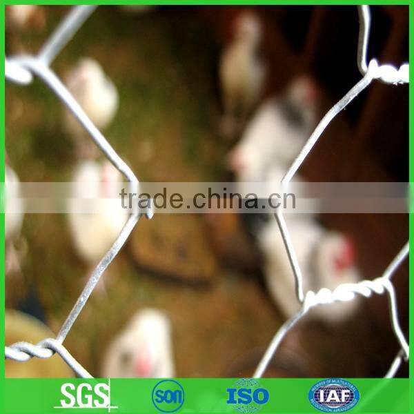 Trading & supplier of China products Coated Chicken Wire