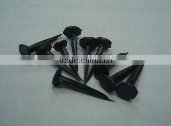 hot saled shoe tack nails(factory)
