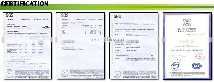 Best Selling Good Reputation SGS & QS Small Paper Plates