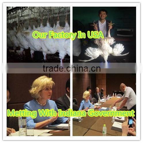 Stage Party Supplies White Large Feather Angel Wings With Turkey Feather