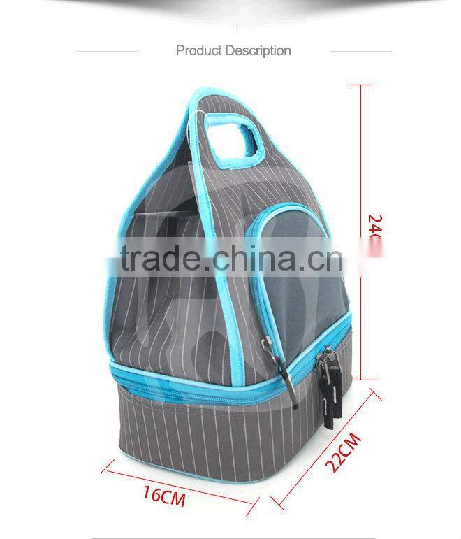 Frozen Lunch Bag Tote Bag, School children lunch tote bag