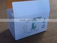 Organic fresh pineapples Phu Lae variety