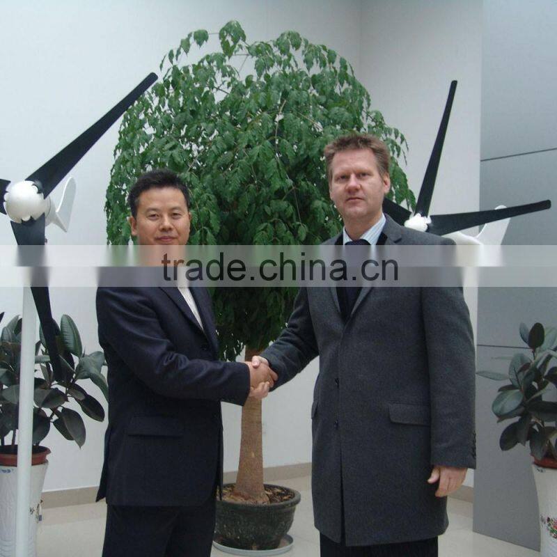 Home use horizontal axis wind generator 900w