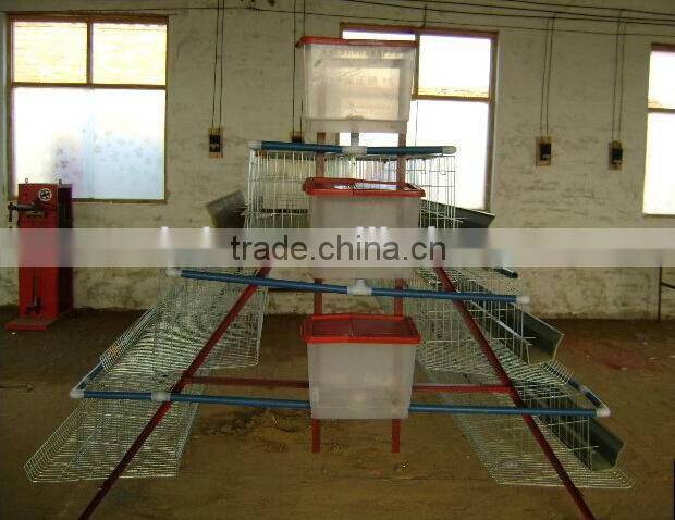 Small scale low price farm chicken cage