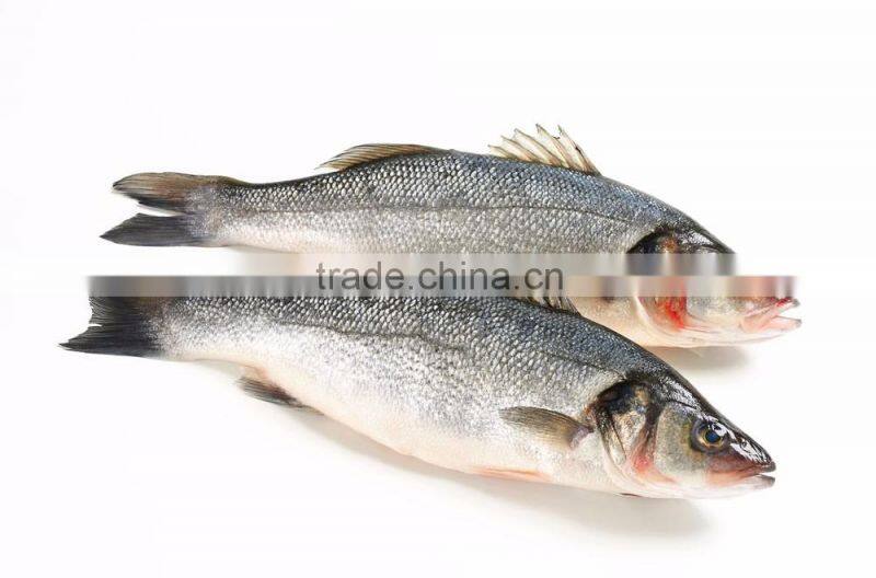 CE certificate saline needle fresh meat marinade seasoning machine