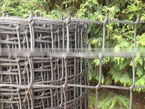 Grass Mesh for Turf and Lawn Reinforcement