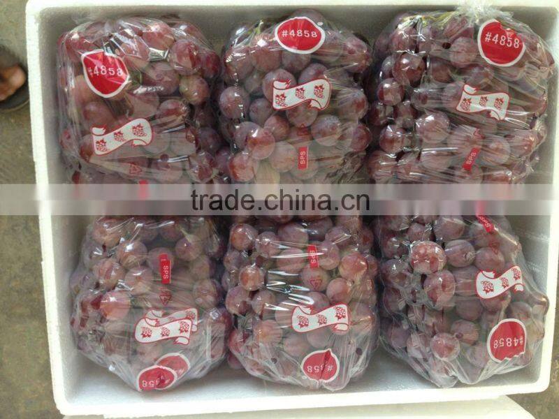 Red global grape/Red grape/Bulk grape