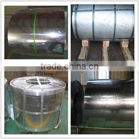 Hot dipped galvanized steel sheet in coils Shandong professional manufacturer