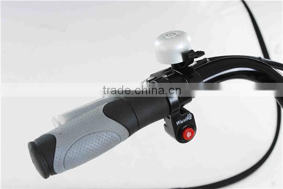 lady 36V 10AH Li-ion Battery Electric euro Bike with Pedal TDF12Z