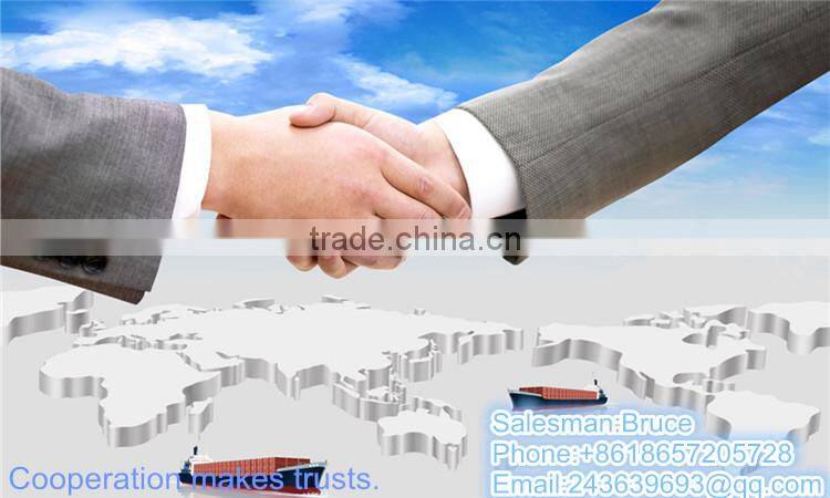 baby clothes/girls party dresses/Girl dress