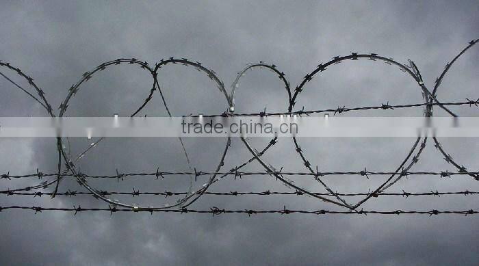 All kinds of competitive price razor barbed wire