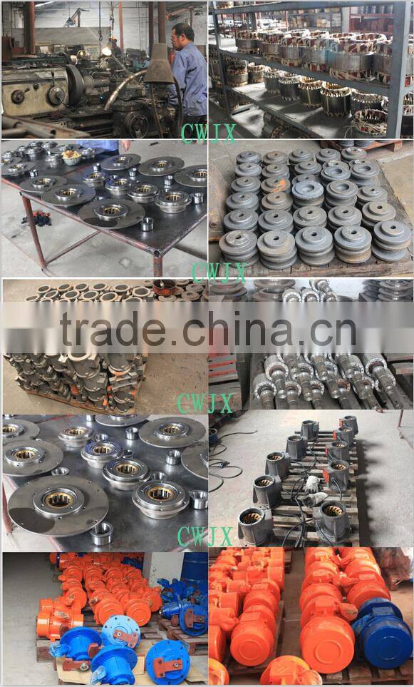 High Speed Unbalanced Vibration Motor