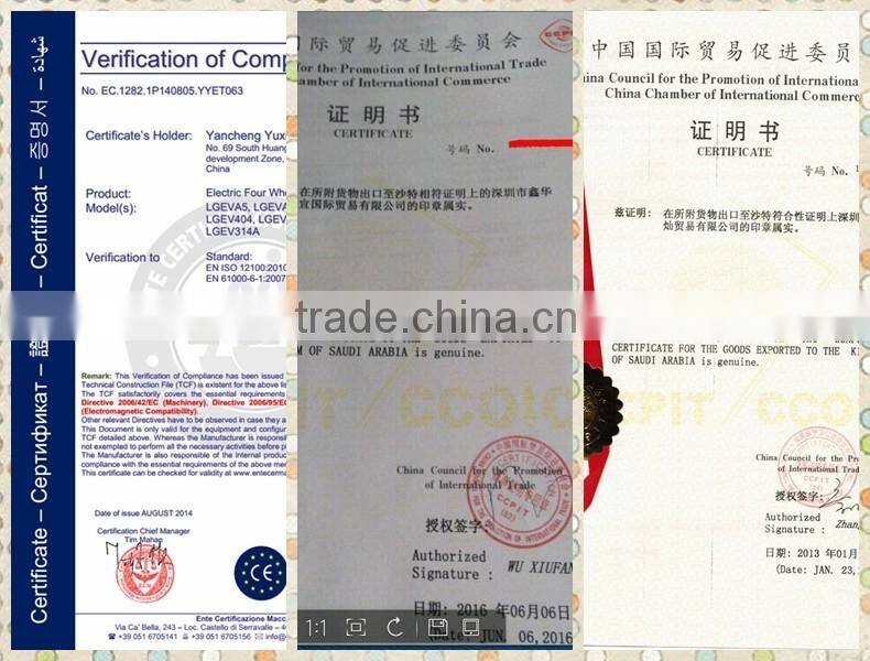 Off road 2 seats sightseeing car 4wd electric vehicle on sale