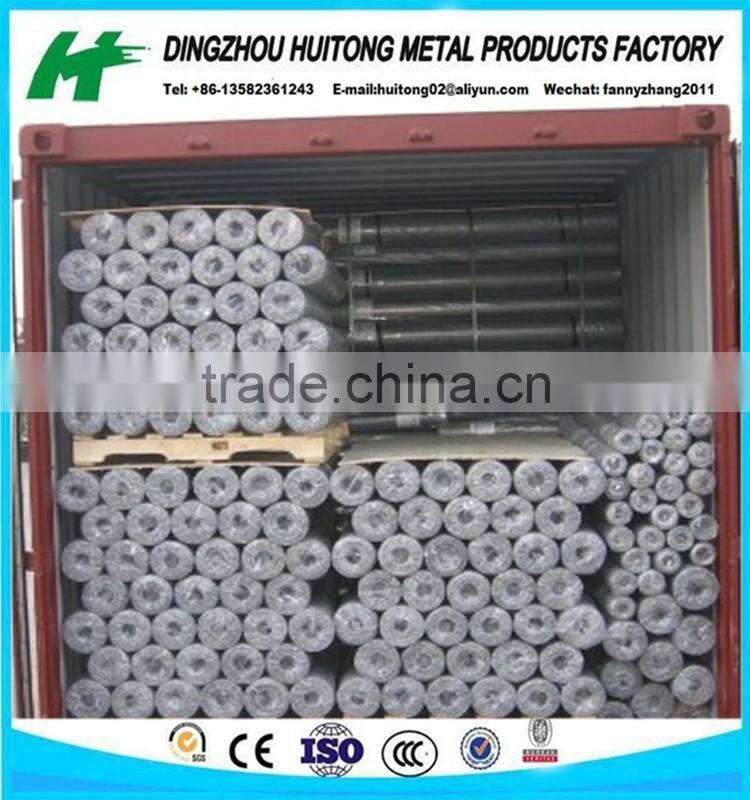pvc coated hexagonal wire netting/chicken mesh/rabbit netting