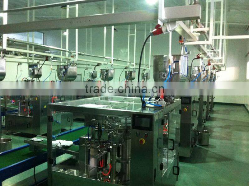 Multi Function stand up pouch packing machine