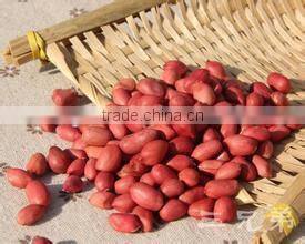 Red skin peanut kernels with good quality for sale
