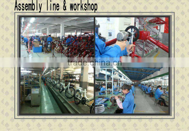 electric three wheel bike for old people