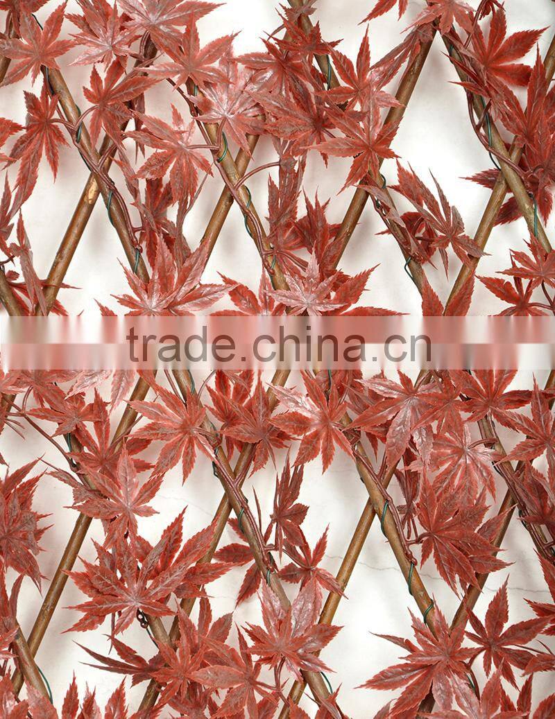 Garden or home decorative garden trellis