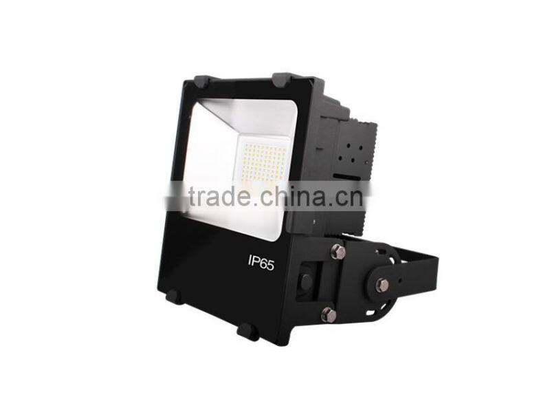 IP67 Waterproof bridgelux cob 100w high power led flood light