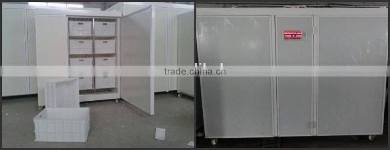 Automatic hydroponic barley fodder growing Machine for animal,livestock,cattle,sheep