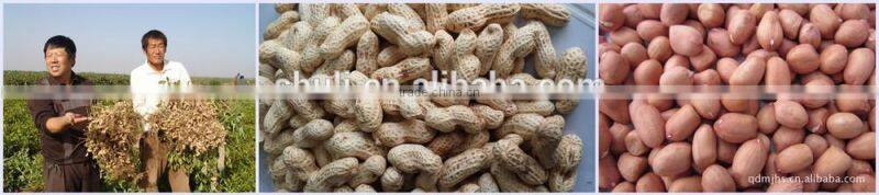 peanuts machine peanut picker peanut harvester