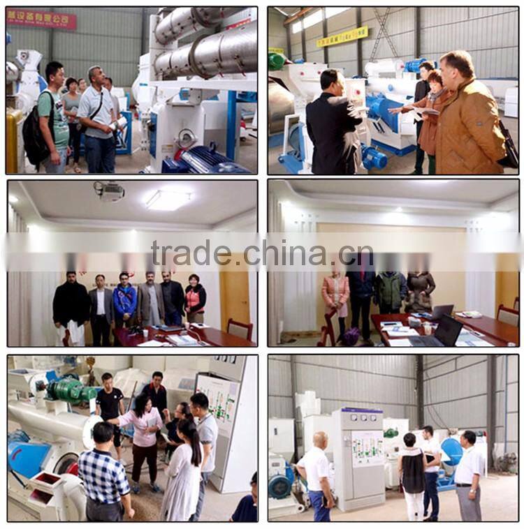 animal poultry fish feed production line