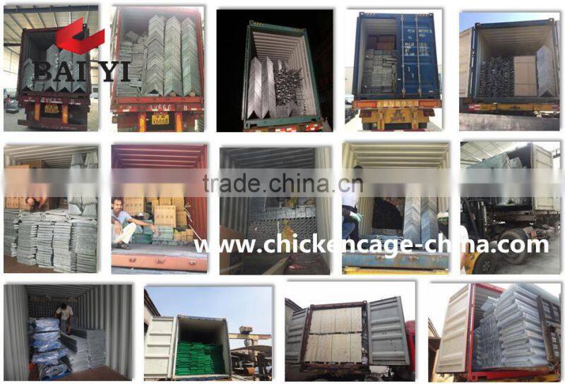 Breeding Pigeon Cage Factory Sale