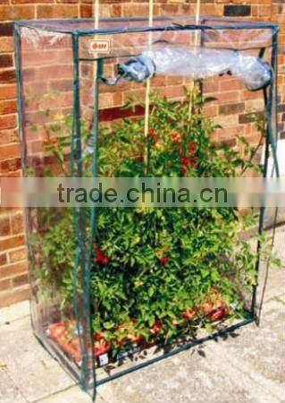 Tomato growbag with duty PE cover
