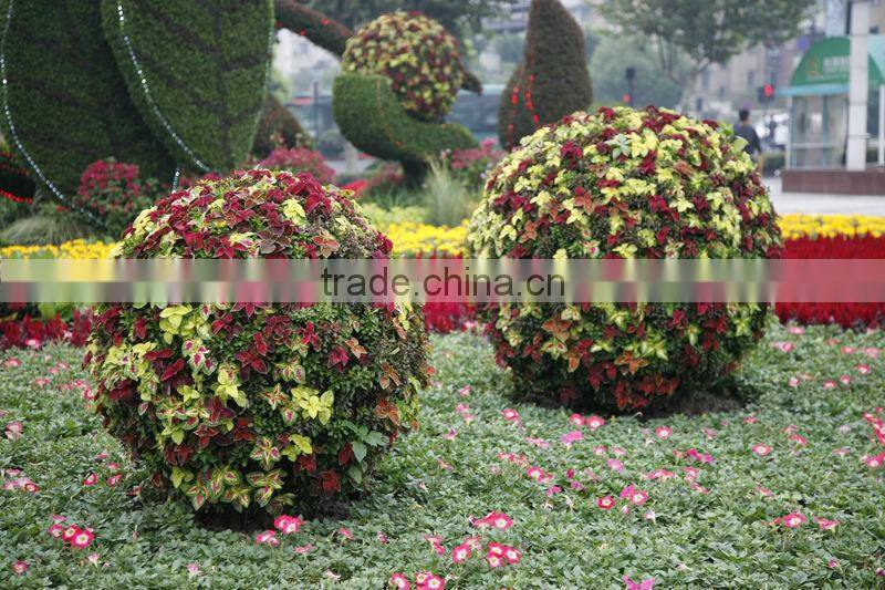 Hanging Ball Planters