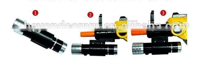 New Salt Gun for Insect Fly