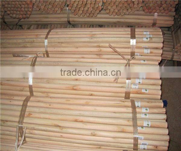 Adjustable Mop Wooden Stick Handle