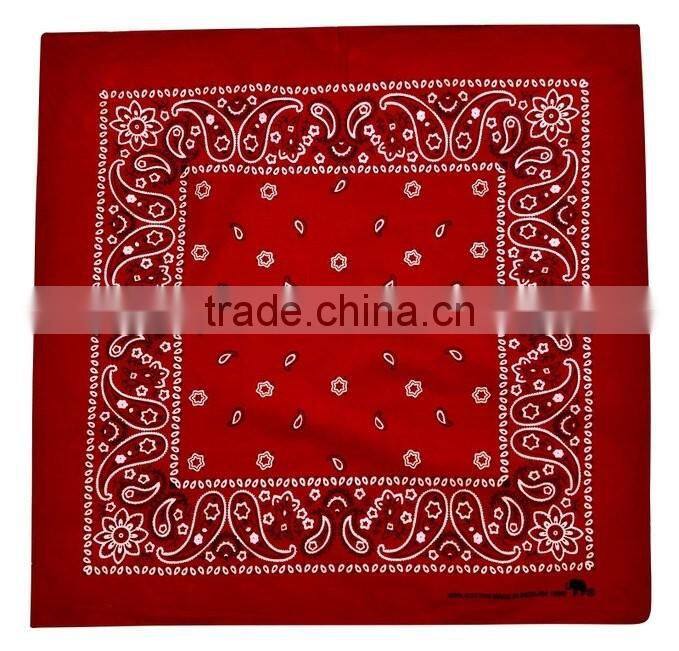 Hot Sale Fashion Outdoor Headwear seamless multifunction native wholesale bandanas