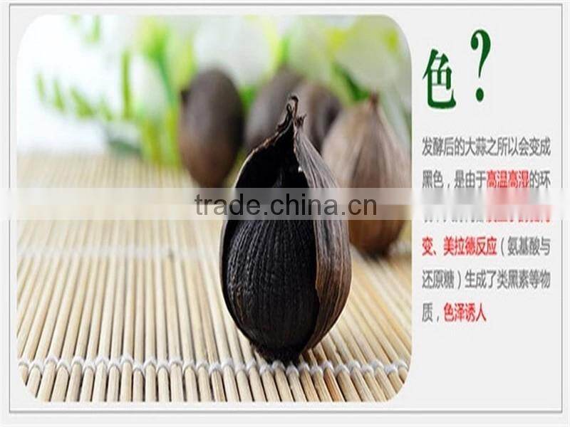 Jinxiang garlic factory supply black garlic