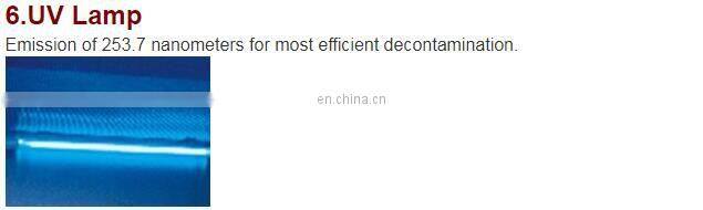 Guangzhou High Quality CE certified mini biosafety cabinet class 2/ small biological lab safety cabinet