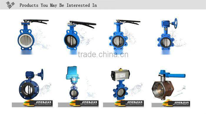 Jinerjian efficient GL41H Flange filter