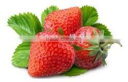 Fruit Frozen Ice Cream Sorbet Maker Healthy Frozen Dessert Maker